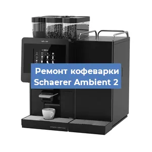 Чистка кофемашины Schaerer Ambient 2 от кофейных масел в Перми